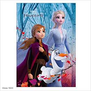 D300-016 隠された秘密ｱﾅと雪の女王2ｱﾅと雪の女王