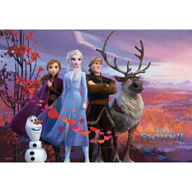 D1000-056 秘密をめぐる物語ｱﾅと雪の女王